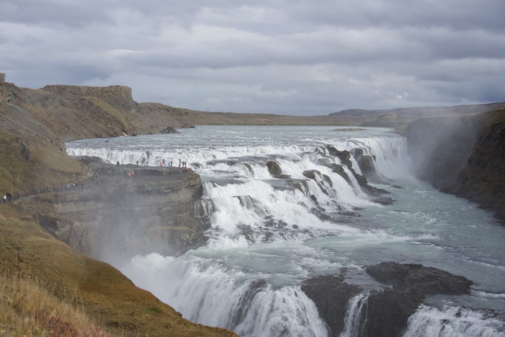 _dsc0415